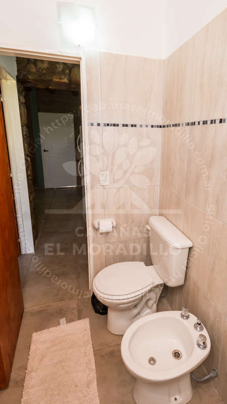 Imagen cargada de forma dinámica