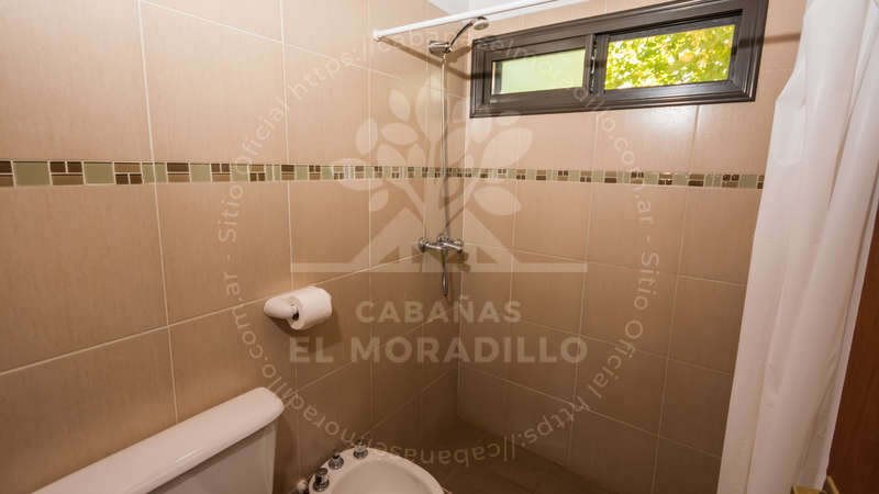 Imagen cargada de forma dinámica