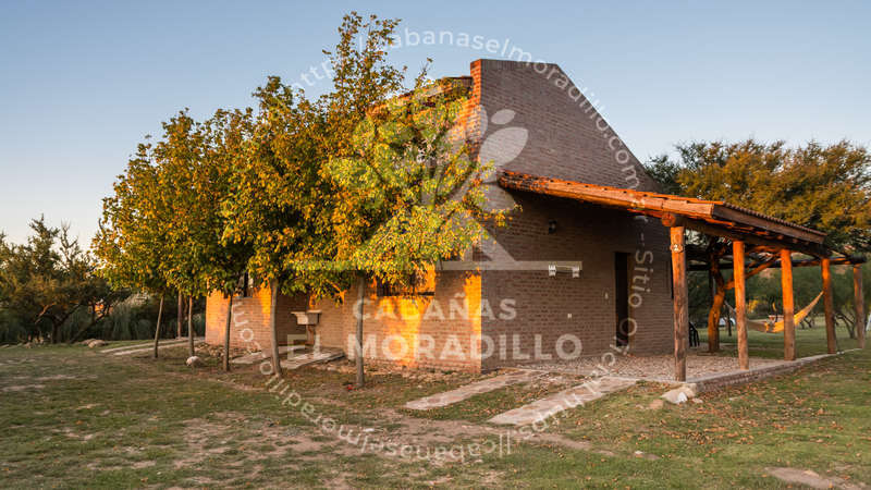 Imagen cargada de forma dinámica