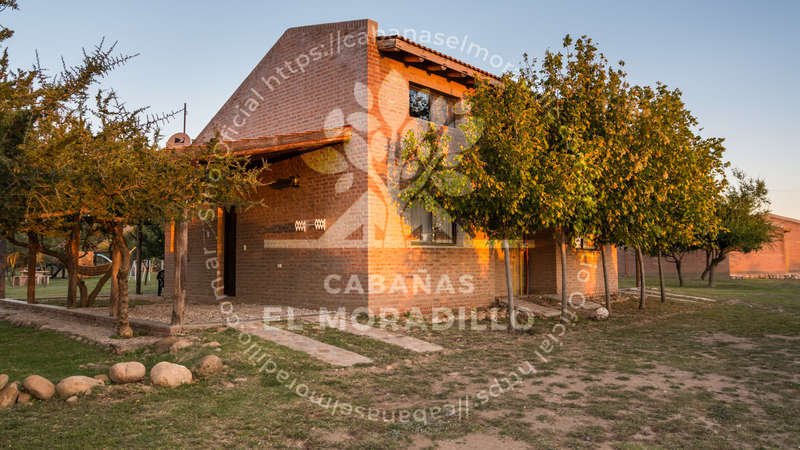 Imagen cargada de forma dinámica