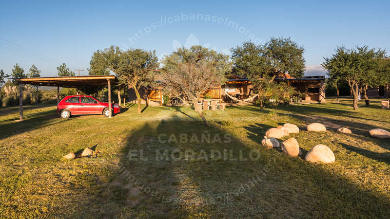 Imagen cargada de forma dinámica