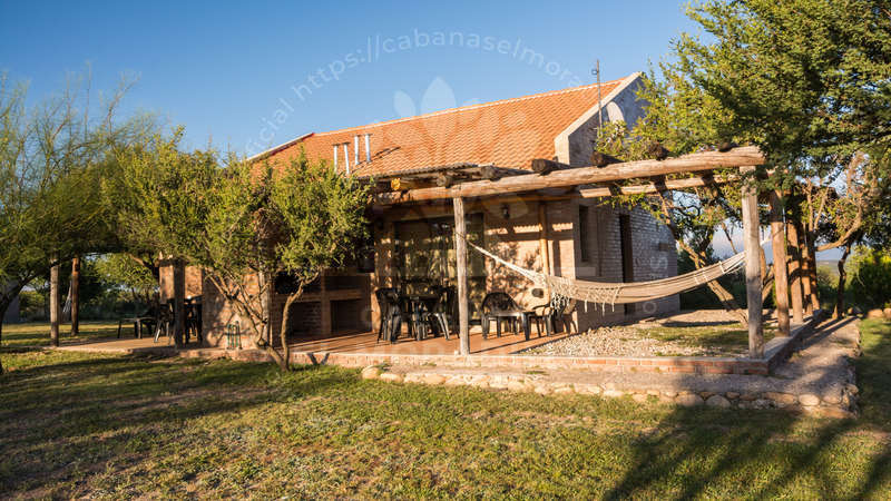 Imagen cargada de forma dinámica