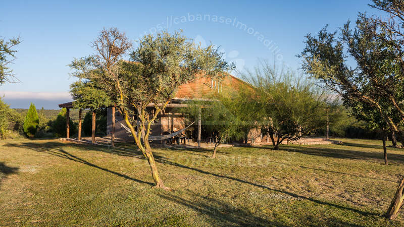 Imagen cargada de forma dinámica