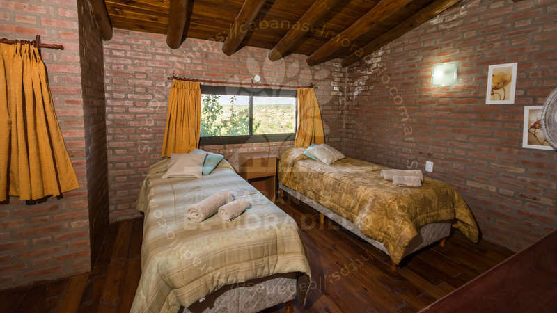 Imagen cargada de forma dinámica